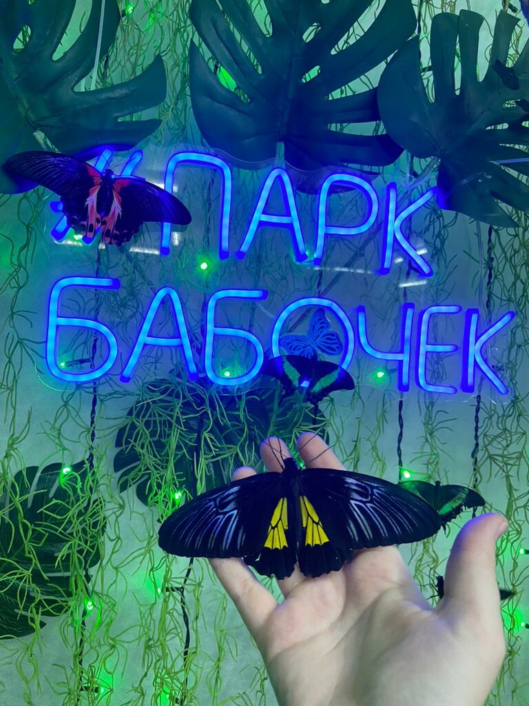 Exhibition center Парк бабочек, Tula, photo