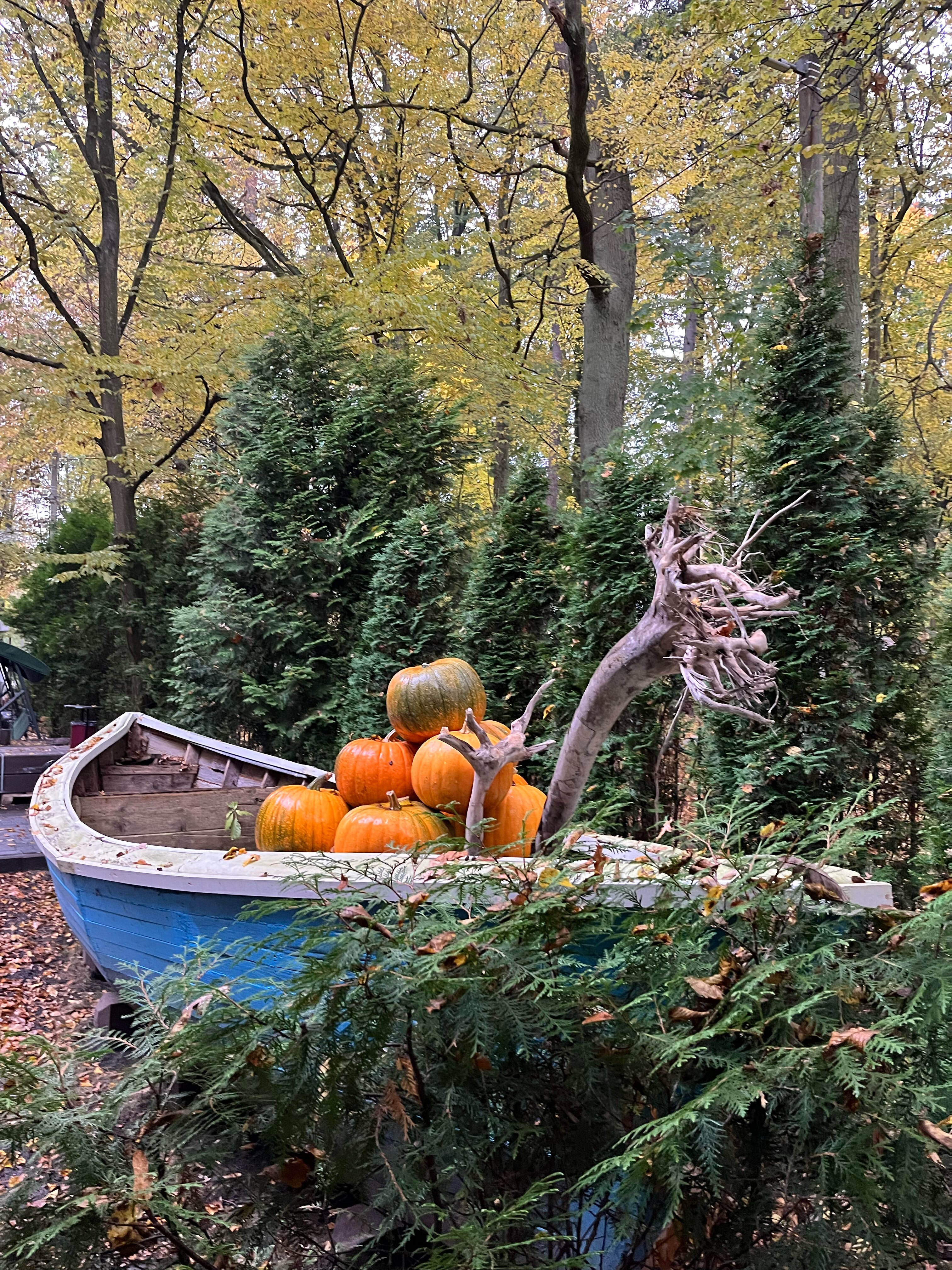 Фото География