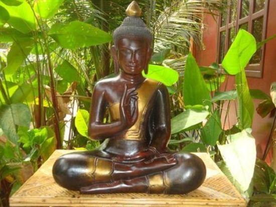 Фото Bou Savy Guesthouse