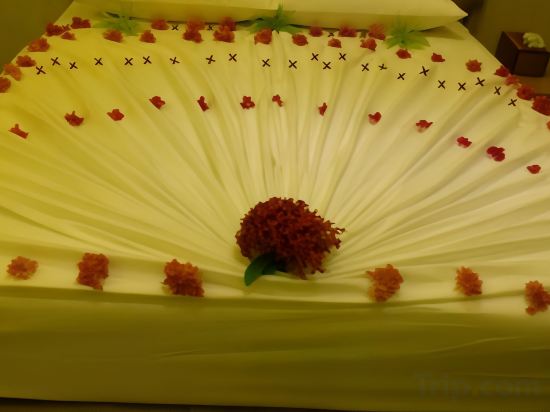 Фото ICom Marina Sea View