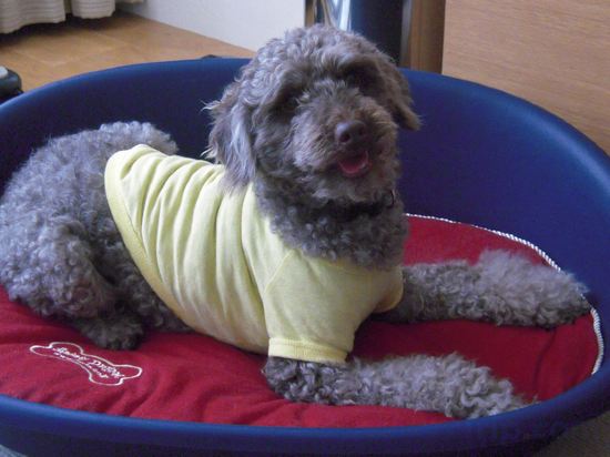 Фото Hilton Fukuoka Sea Hawk