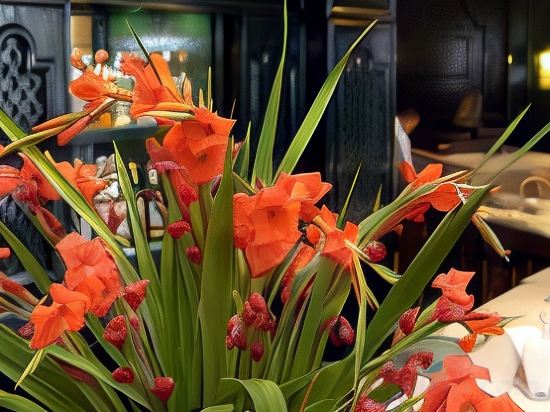 Фото Royal Azur Thalasso Golf