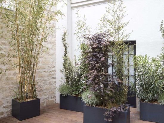 Фото Hotel Parisianer