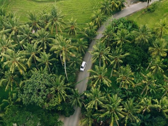Фото The Kalyana Ubud Resort