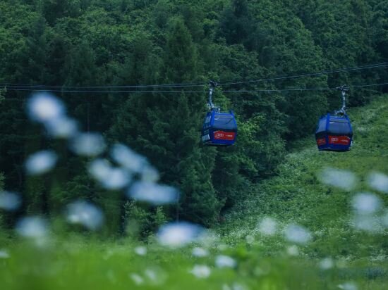 Фото Sheraton Changbaishan Resort