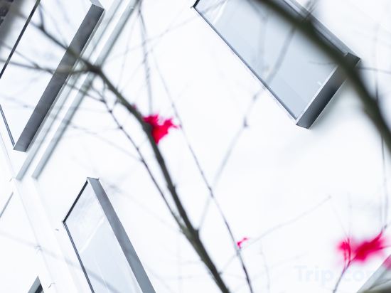 Фото Green Sleeves