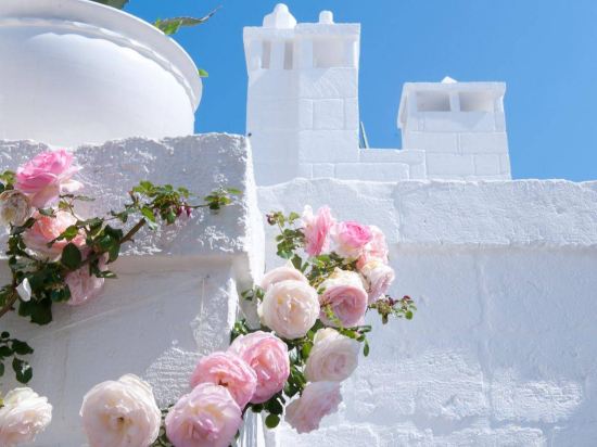 Фото Don Ferrante - Dimore di Charme