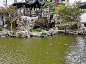 Гостиница Holiday Inn Express Linyi Riverside