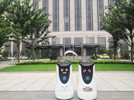 Фото LJZ Supreme Tower Hotel