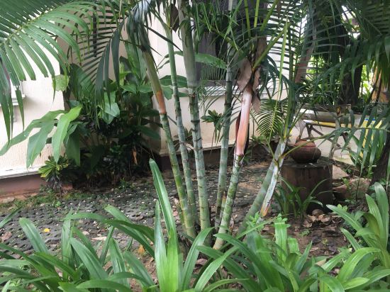 Фото Sweet Inn Resort
