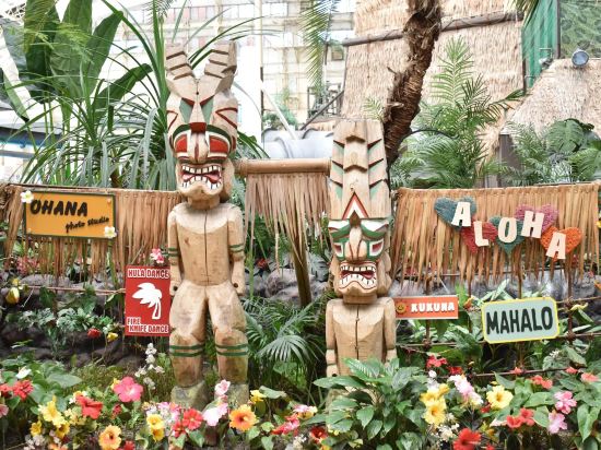 Фото SPA Resort Hawaiians Hotel Hawaiians