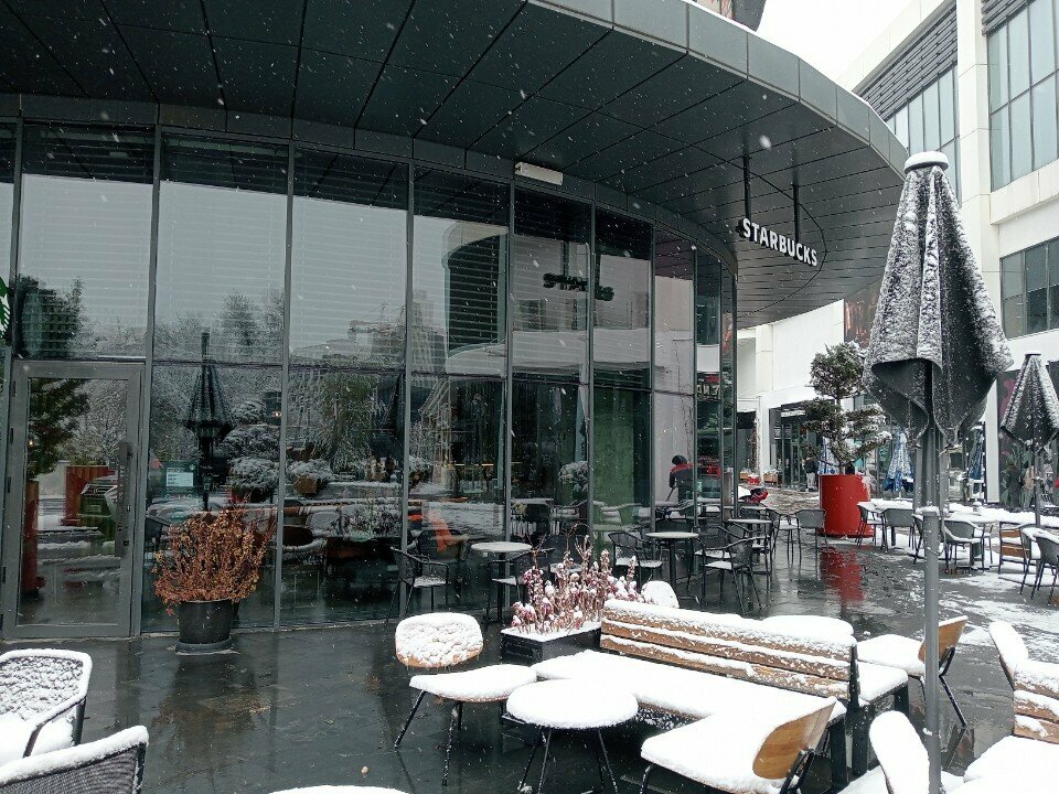 Coffee shop Starbucks, Almaty, photo