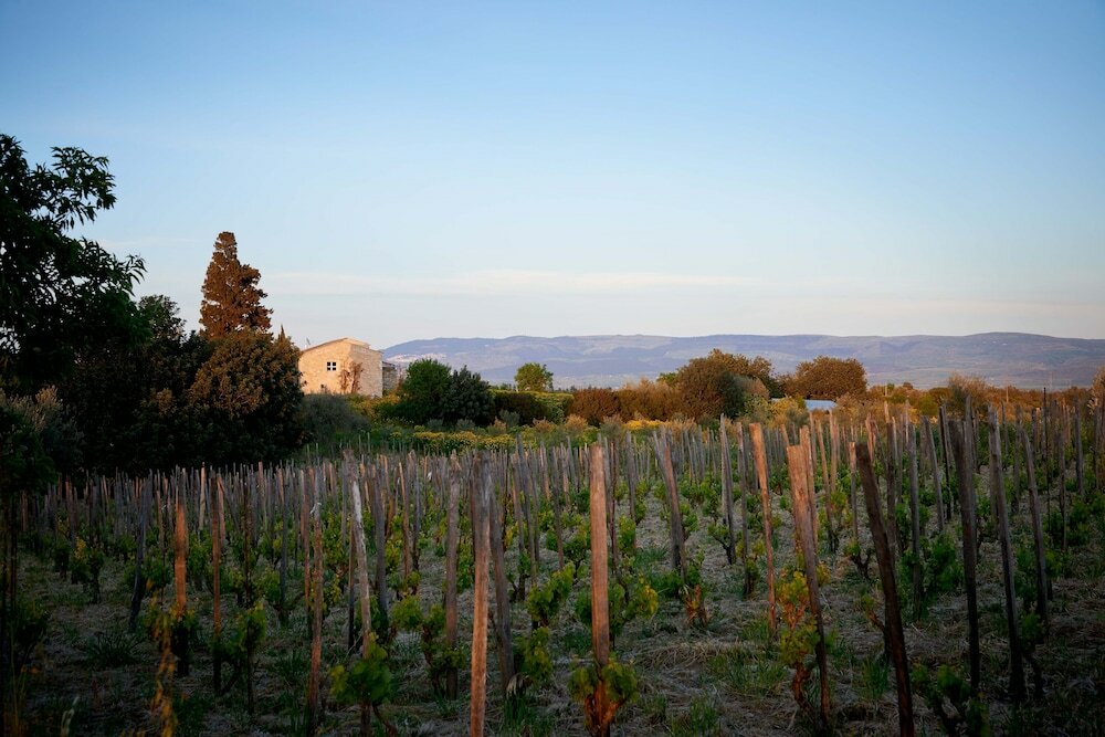 Фото Baglio Occhipinti