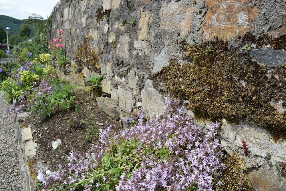 Фото Craigmhor Lodge & Courtyard