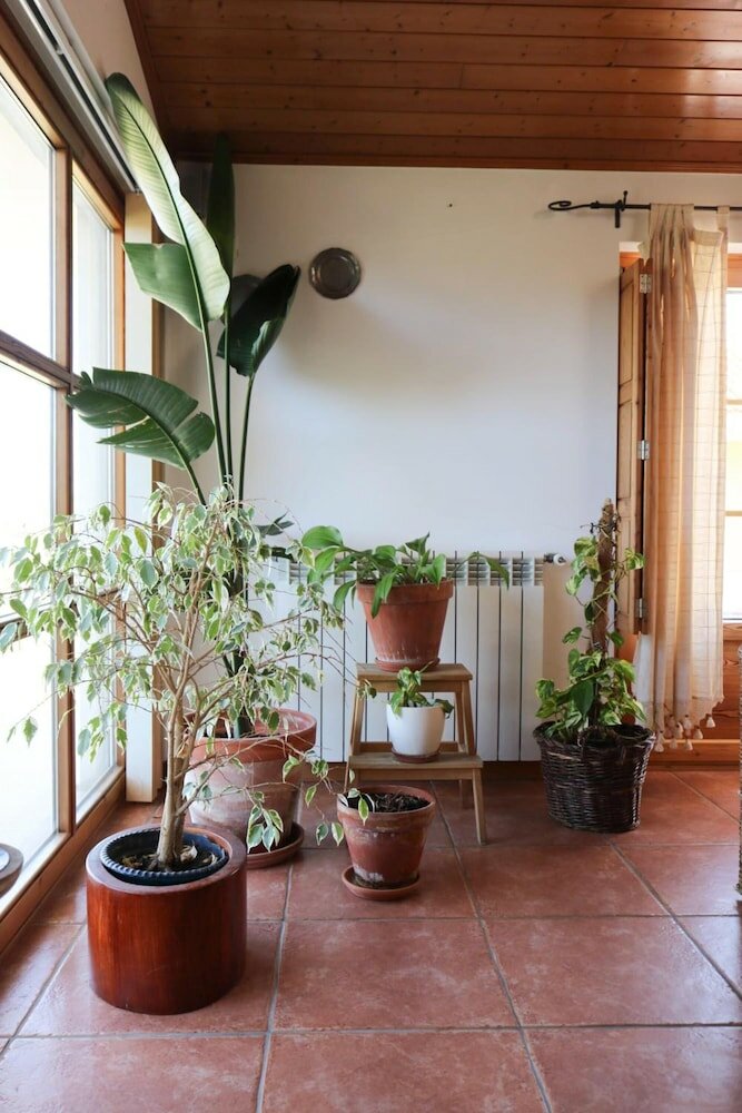 Фото Quinta Amarela