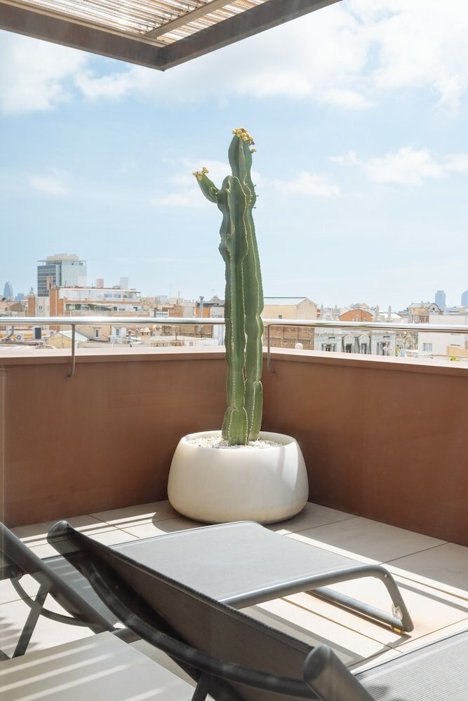 Фото The Mirror Barcelona