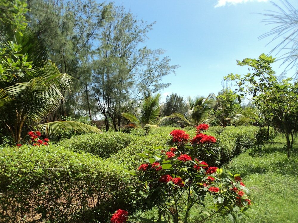 Фото Lotus Resort Konark