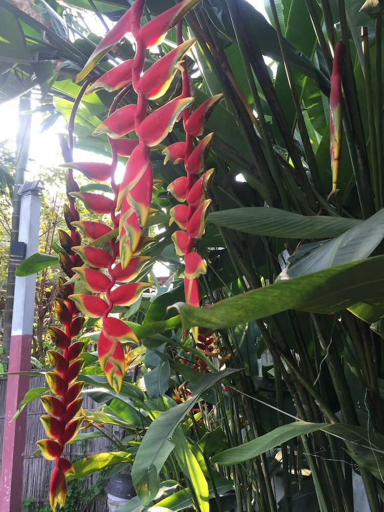 Фото Water Palm Villas