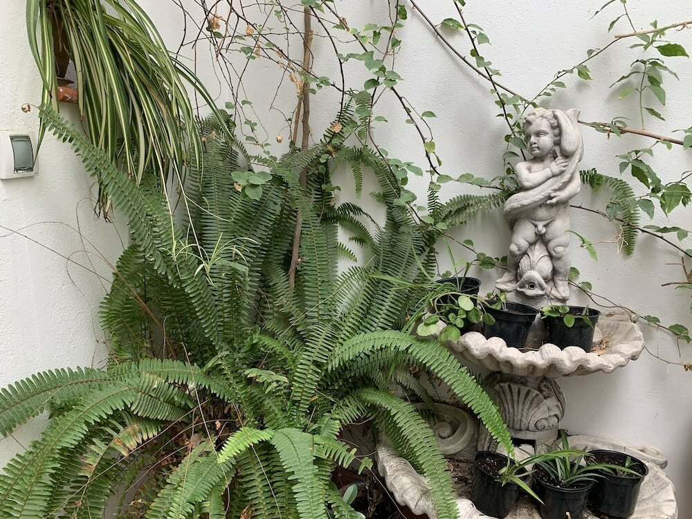 Фото Casa Palacio la Sal