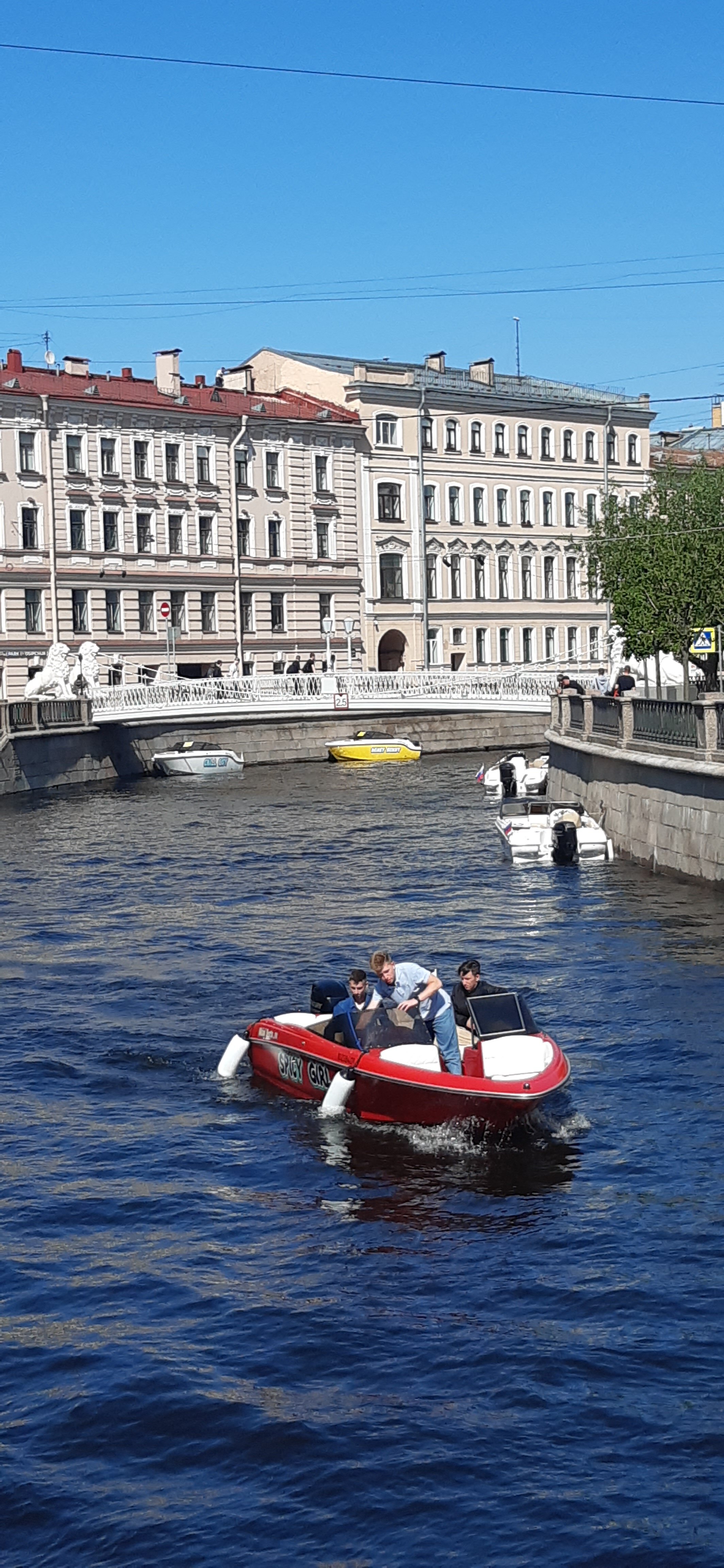 Фото Рапсодия