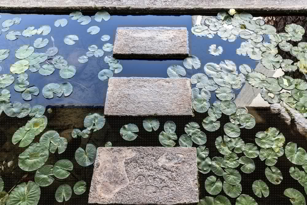 Фото Amalia Hotel Delphi