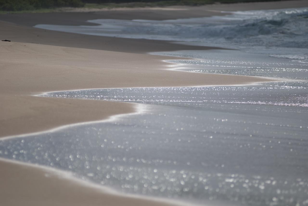 Фото Oyo Hotel Arembepe Beach Hotel, Camaçari