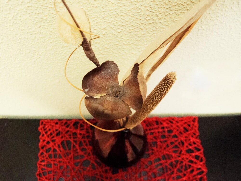 Фото City Life Rome