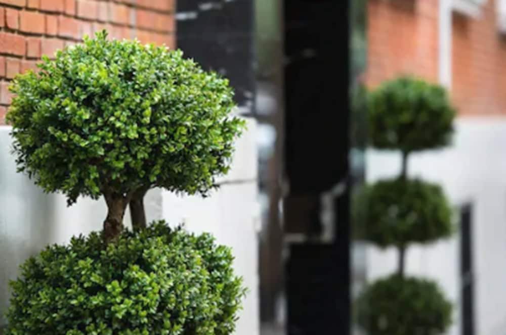 Фото NeoMagna Madrid