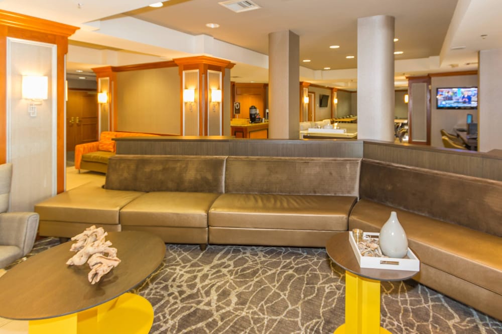 Фото SpringHill Suites by Marriott Tampa Westshore Airport