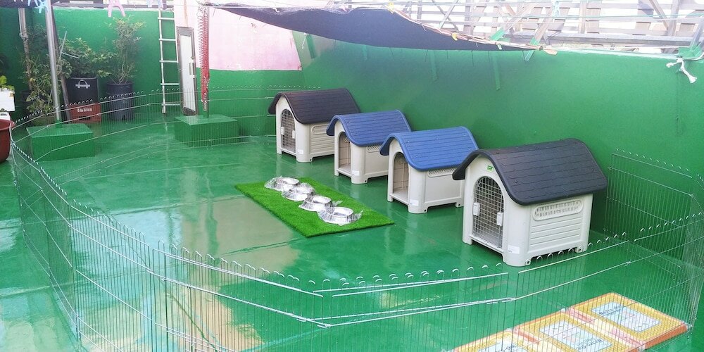 Фото Brown Hotel