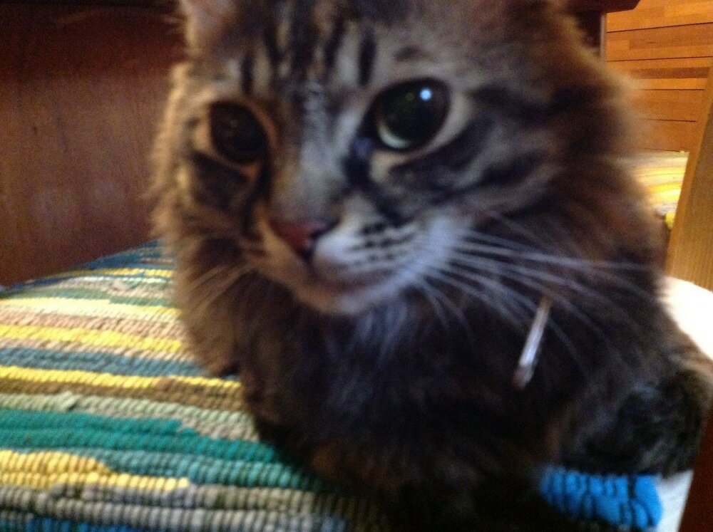 Фото Milk-ya Women-Only Guest House