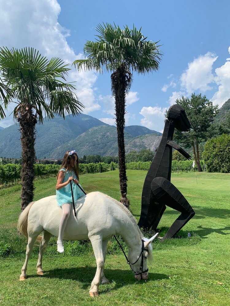 Фото Albergo Losone