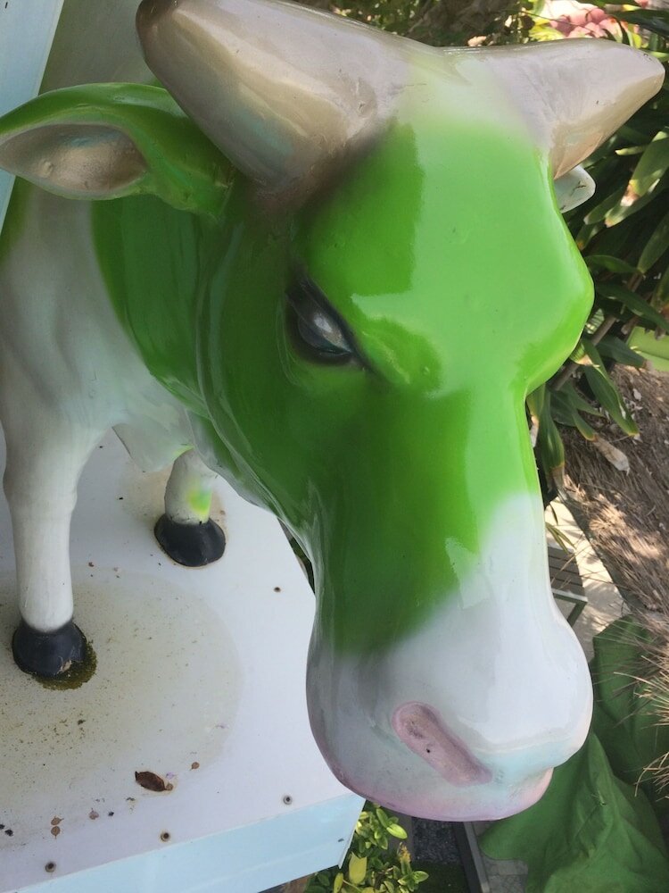 Фото Momento Resort