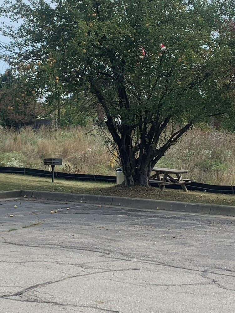 Фото Comfort Inn Chelsea