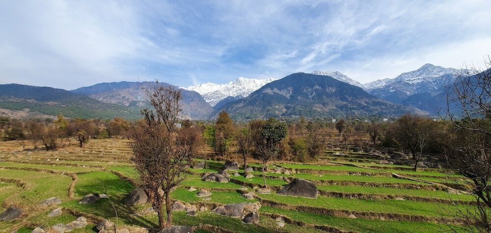 Фото Quartz Himalayan Brothers