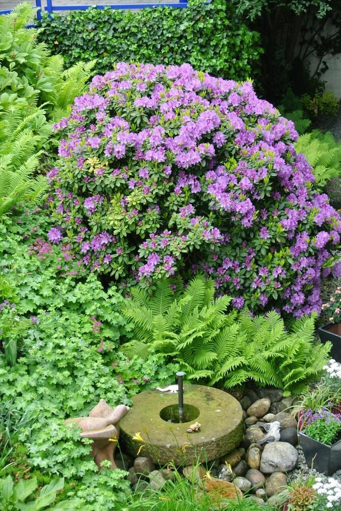 Фото Hotel Vetter