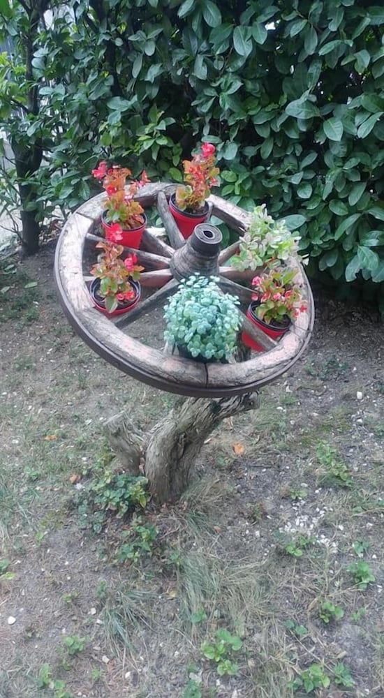 Фото B&b Il Cedro