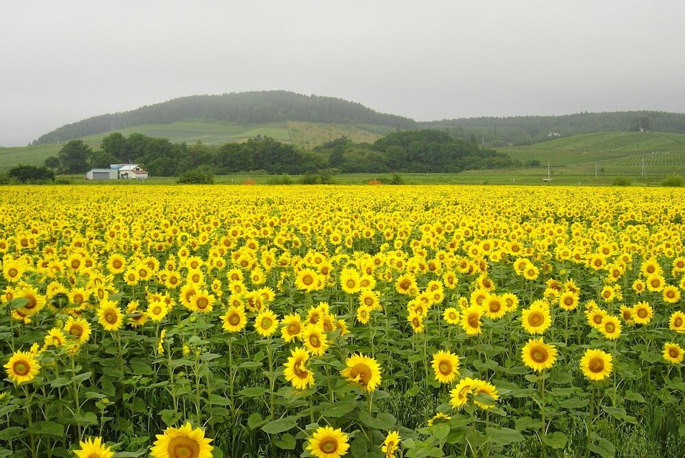 Фото Pension Hoshi Ni Negaiwo