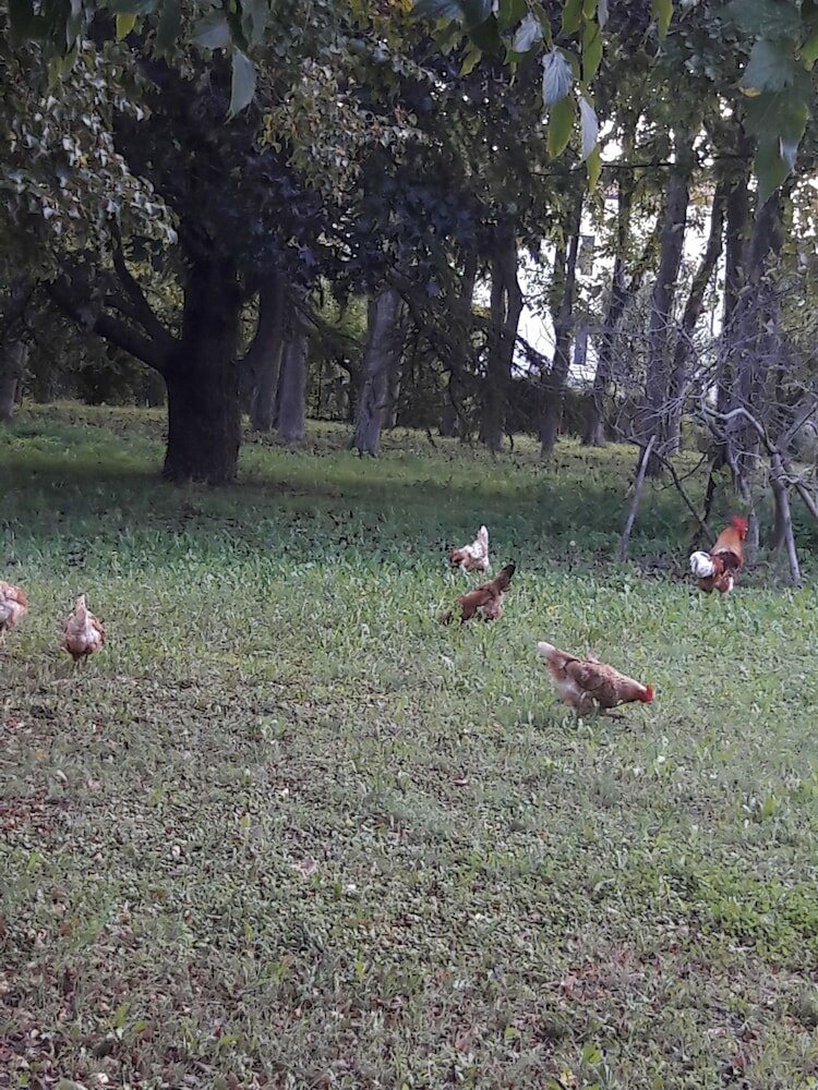 Фото Ca di Fiore