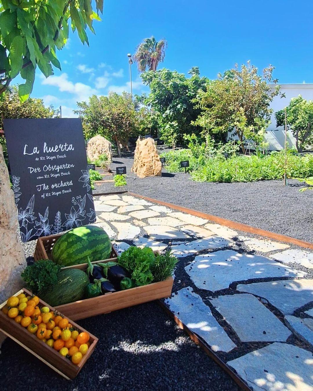 Фото R2 Higos Beach Apartments