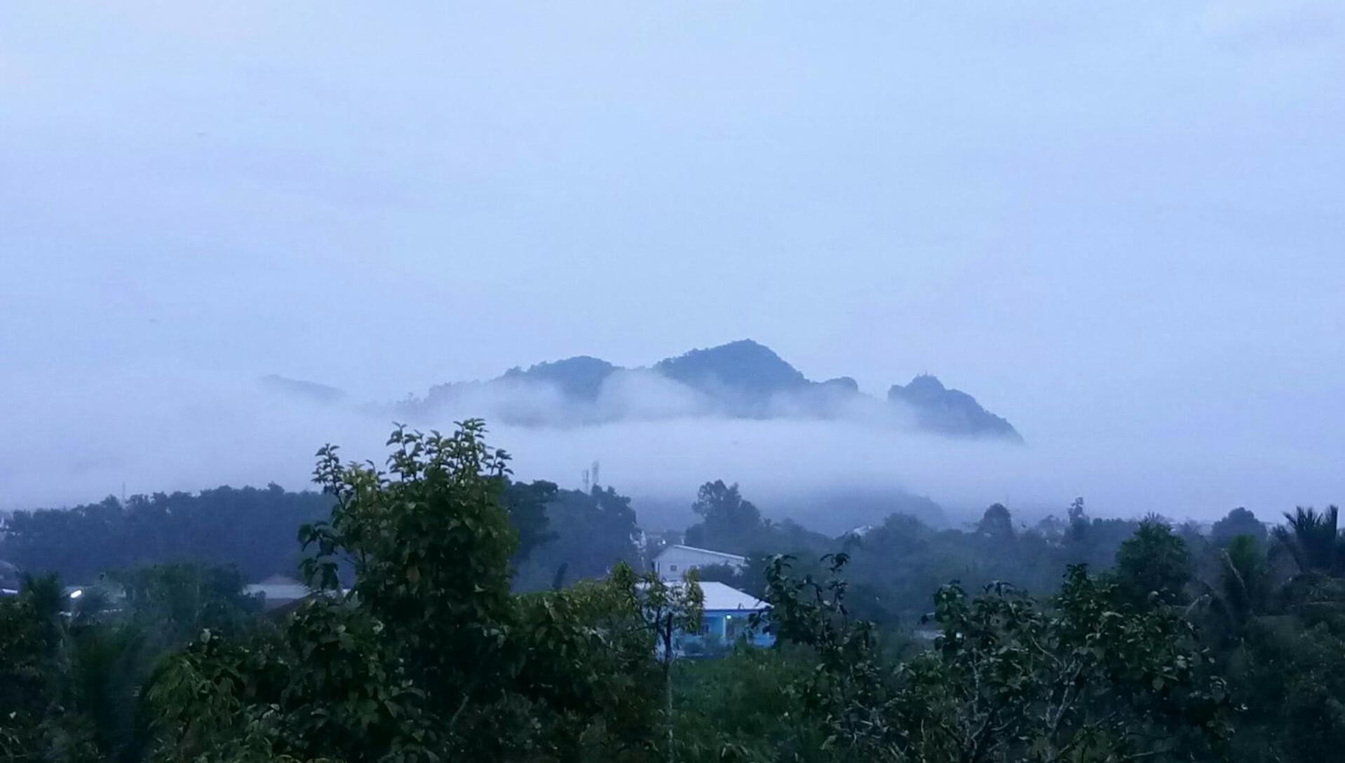 Фото The Box House