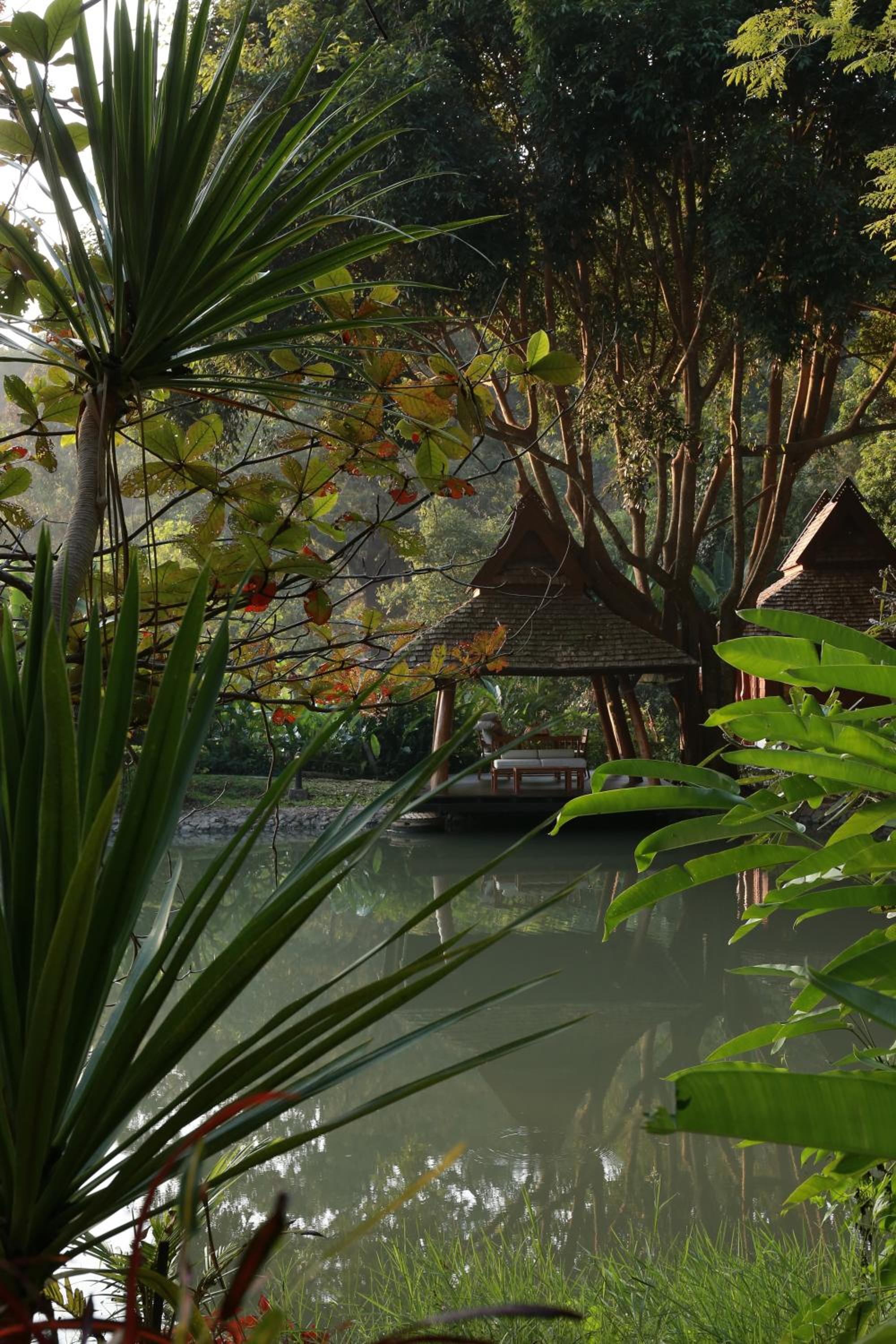 Фото Vanilla Hill