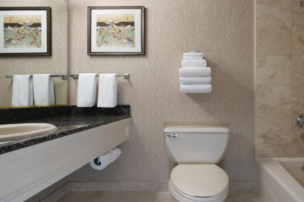 Фото Circus Circus Hotel, Casino & Theme Park 