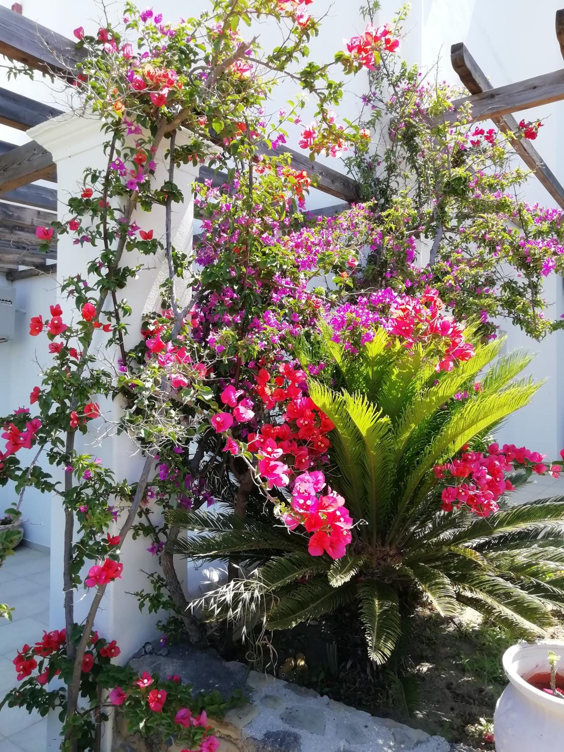 Фото Vina Beach Hotel