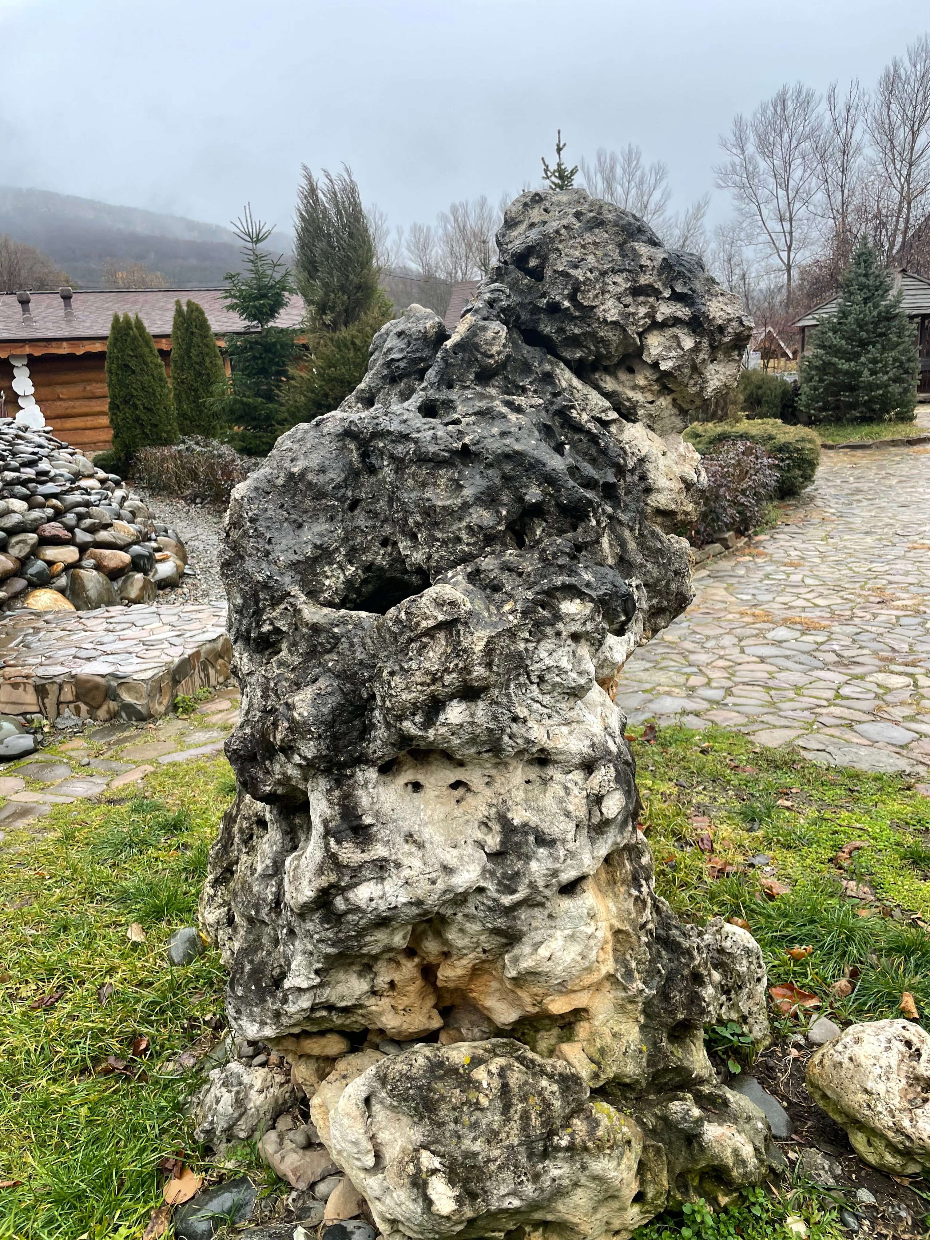 Фото Денница