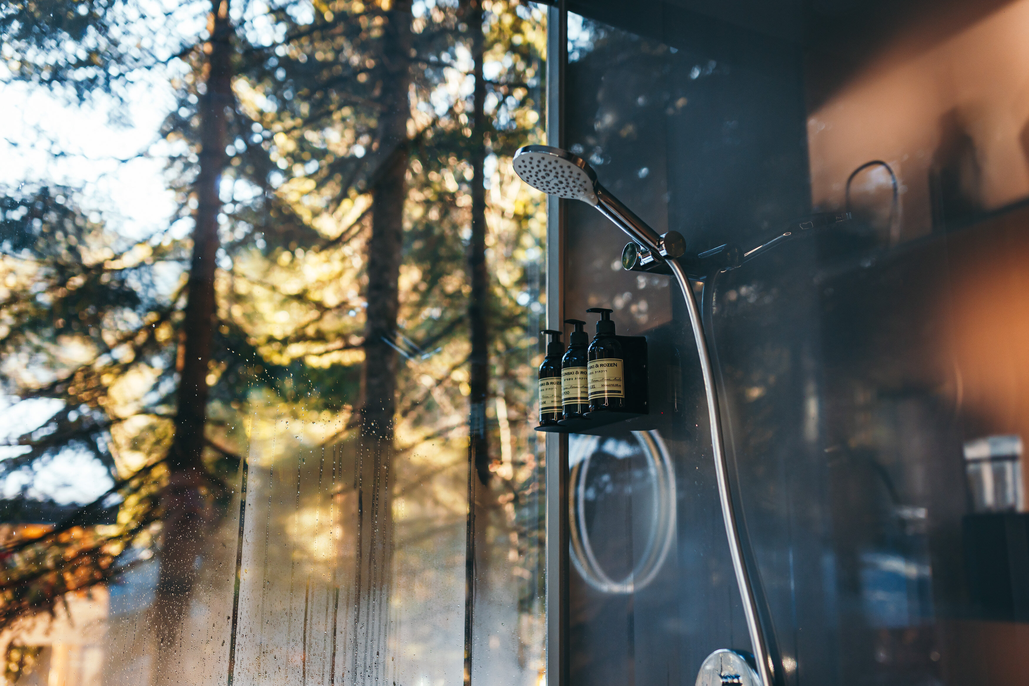 Фото Magic Forest