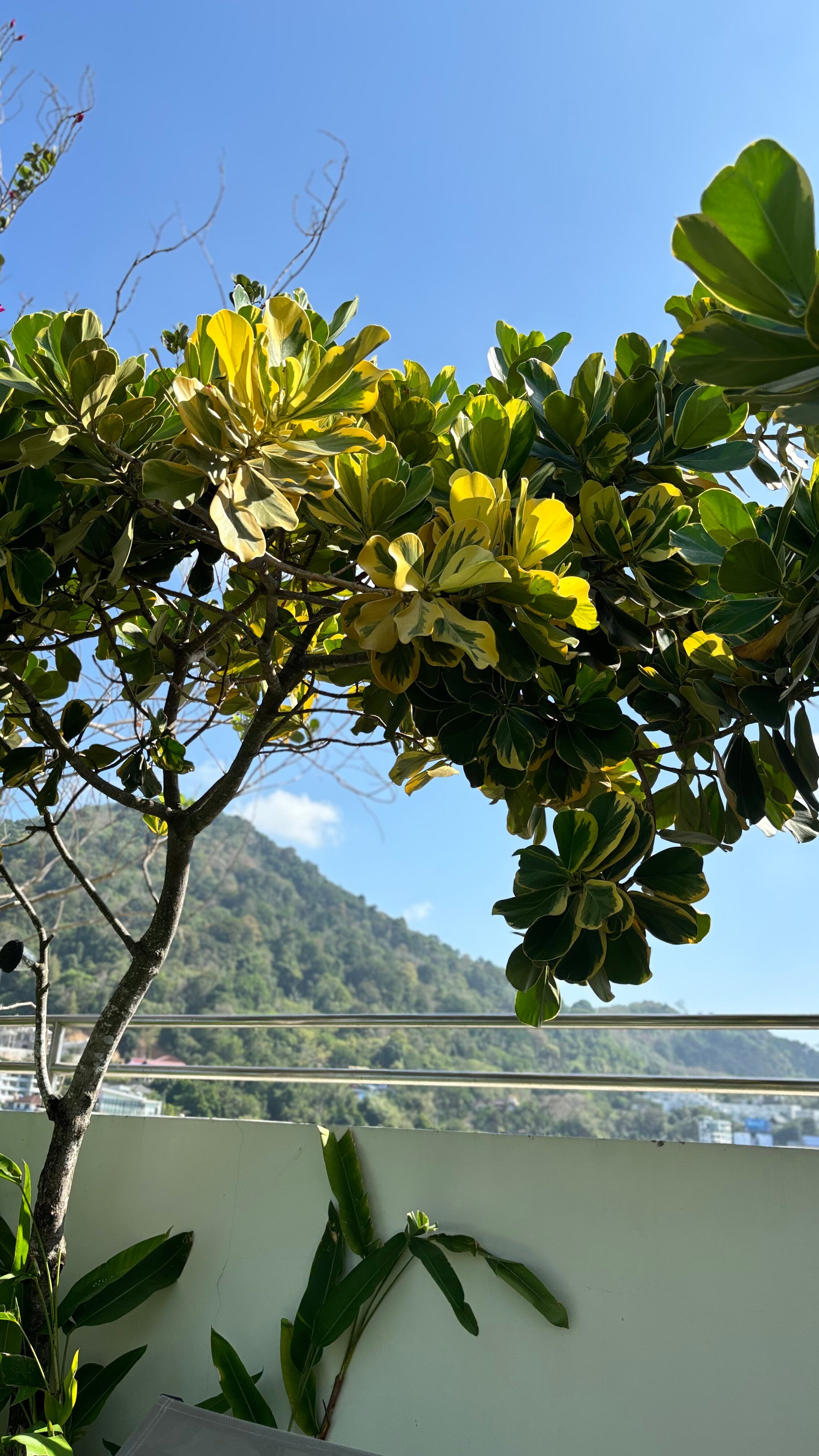 Фото Journey Hub Hotel Phuket