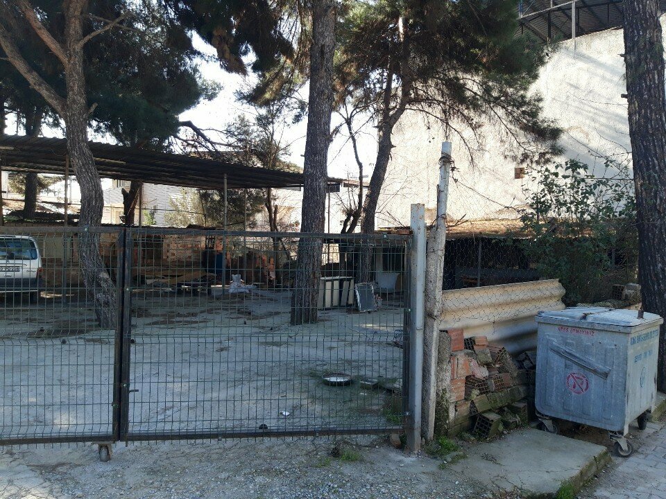 Coal company Neşeli Trade, Izmir, photo