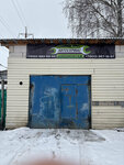 Автосервис (rayon Sitniki, garazhny kooperativ Sitnikovskiy, с424), car service, auto repair