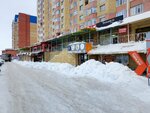 Delfin-tur (Universitetskaya ulitsa, 29), travel agency
